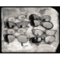 Ron Cowie Photo Logo