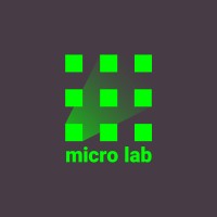 Micro Lab Engineering Club Logo