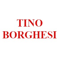 TINO BORGHESI TRASPORTI S.R.L. Logo