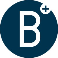 Borrauto srl Logo