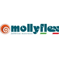 MOLLYFLEX S.R.L. Logo