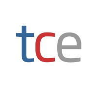The Consultants-E Logo