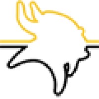 Viking Informatics Ltd Logo