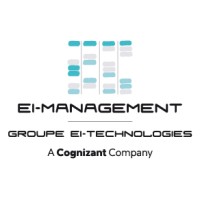 EI-Management Logo