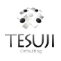 Tesuji Consulting Logo