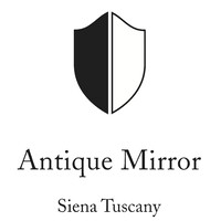 ANTIQUE MIRROR SRL Logo