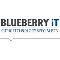 Blueberry IT Logo