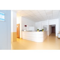 Ricerche Diagnostiche S.r.l. Logo