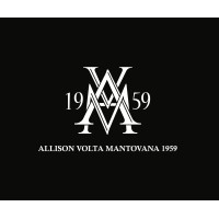AVM 1959 S.P.A. Logo