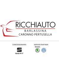 Ricchi Auto S.r.l. Logo
