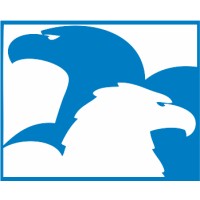EAGLES ENGINEERING S.R.L. Logo