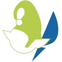 ELFI Systems s.r.l. Logo