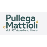 Pullega e Mattioli S.p.A. Logo