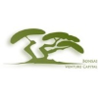 Bonsai Venture Capital SCR Logo