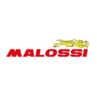 Malossi S.p.A. Logo