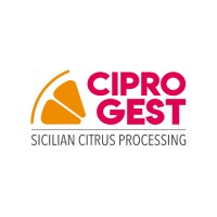 CIPRO GEST S.R.L. Logo