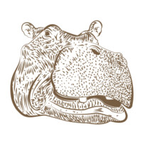 Kiboko Voyages Logo