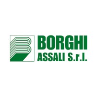 BORGHI ASSALI S.R.L. Logo