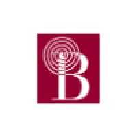Bassilichi Logo