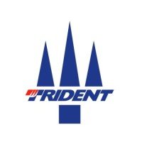 TRIDENT MOTORSPORT Logo