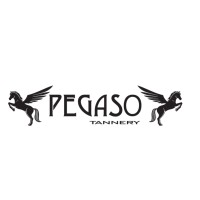 CONCERIA PEGASO S.P.A. Logo