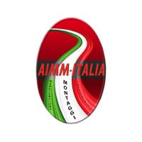 A.I.M.M. - ITALIA S.R.L. Logo