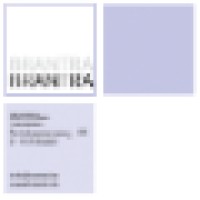 BranTra Translation Logo