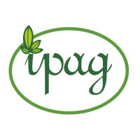 IPAG Srl Logo