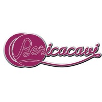 BERICA CAVI S.P.A. Logo