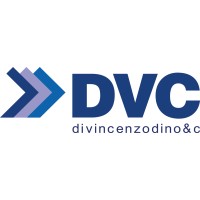 DI VINCENZO DINO & C. S.P.A. Logo