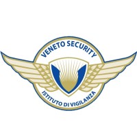 Veneto Security S.r.l. Logo