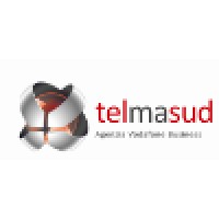 Telma Sud s.r.l. Logo