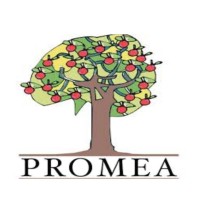 PROMEA S.P.A. Logo