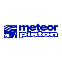 METEOR PISTON S.R.L. Logo