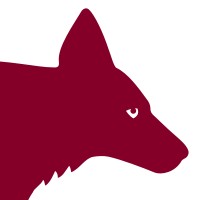 Coyote Entertainment Logo
