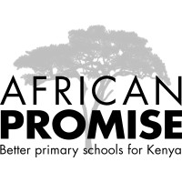 African Promise Logo