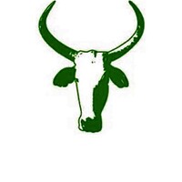 MADAFOCUS - Travel in Madagascar Logo