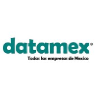 DATAMEX, LLC Logo