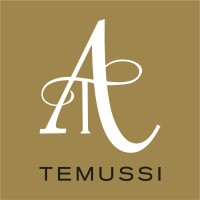 TEMUSSI S.r.l. Logo