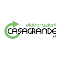 ELABORAZIONI CASAGRANDE S.R.L. Logo