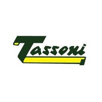 CEDRAL TASSONI S.P.A. SALO Logo