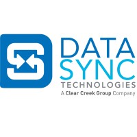 DataSync Technologies, Inc. Logo