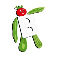BAVICCHI S.P.A. Logo