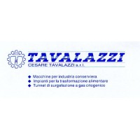 CESARE TAVALAZZI S.R.L. Logo