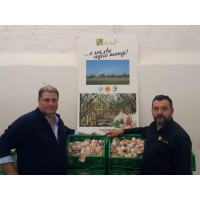 Aglio Le Aie... società agricola Logo