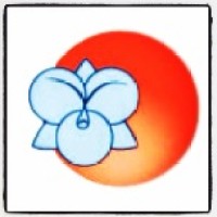 Amazonia Orchids, LLC Logo