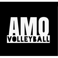 AMO Volleyball Logo