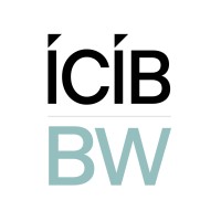ICIB Limited - Independent Risk Advisers & Insurance Brokers Logo