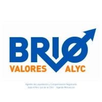 Brio Valores Logo