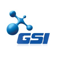 GSI Online Logo